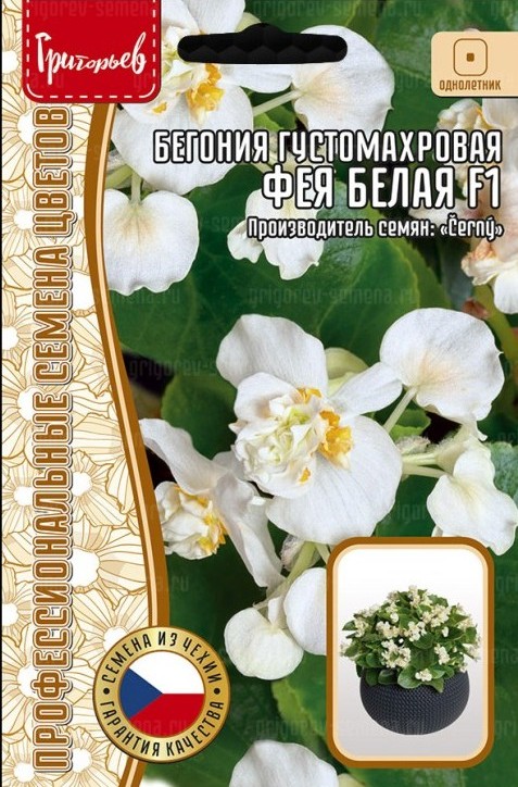 Бегония Фея белая F1 густомахровая однолетник 5др (Ред.Сем)