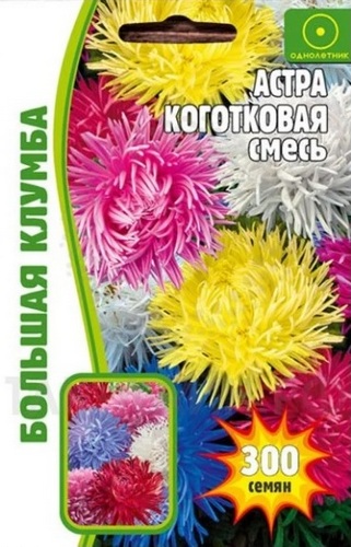 Астра Коготковая смесь Большая клумба однолетник 150шт (Ред.Сем)