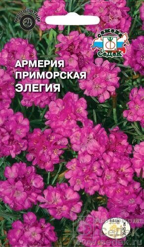 Армерия приморская Элегия многолетник 0,1г (Седек)