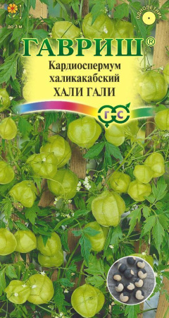 Кардиоспермум халикакабский Хали-Гали однолетник 1г (Гавриш)