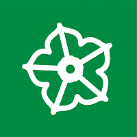 Петунии