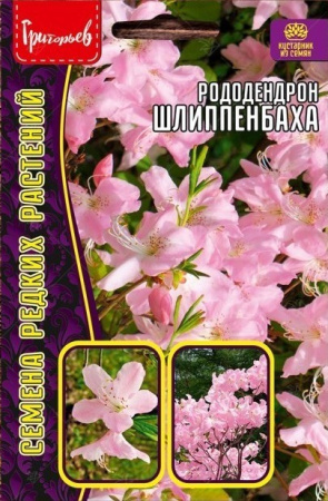 Рододендрон Шлиппенбаха 0,01г (Ред.Сем)