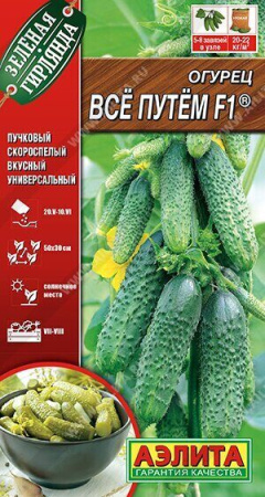 Огурец Все путем F1 10шт (Аэлита)