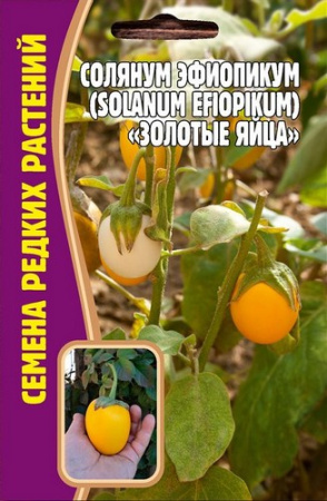 Солянум Эфиопикум Золотые Яйца 12шт (Ред.сем)