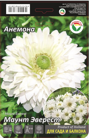 Анемона Маунт Эверест 5/6 15шт (Сиб сад)