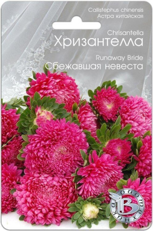 Астра ХРИЗАНТЕЛЛА Сбежавшая невеста однолетник 30шт (Биотехника)