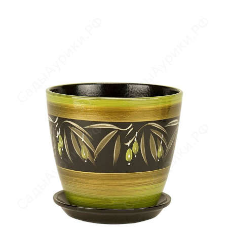 Бутон оливки 1л 12см РС19/1 (СА)           