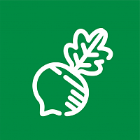 Репа Брюква