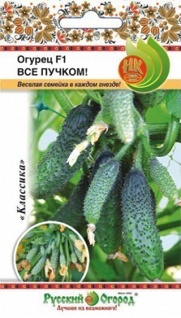 Огурец Все пучком 10шт (НК)