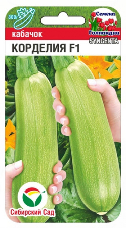 Кабачок Корделия 3шт (Сиб Сад)