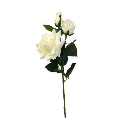 Роза крупная 75см 3 бутона (Сиб Сад)