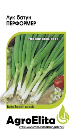 Лук Батун Перформер 0,2г (Агроэлита)
