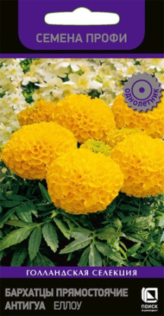 Бархатцы Антигуа Еллоу ПРОФИ однолетник 15шт (Поиск)