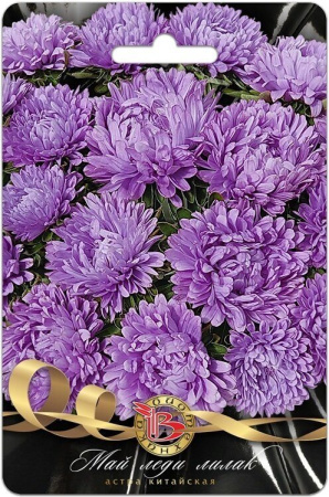 Астра МАЙ ЛЕДИ Лилак однолетник 30шт (Биотехника)