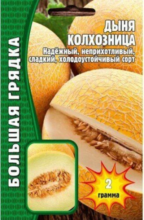 Дыня Колхозница Большая грядка 30шт (Ред.сем)