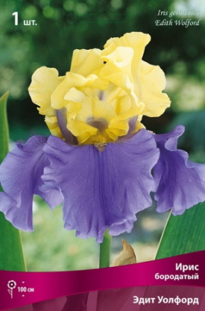 Ирис Эдит Уолфорд (Германский) 1шт (Поиск)