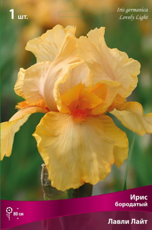 Ирис Лавли Лайт (Германский) 1шт (Поиск)