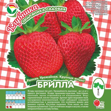 Клубника Брилла А 10шт/пучок (Сиб сад)