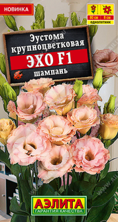 Эустома Эхо Шампань F1 крупноцветковая 5шт (Аэлита)