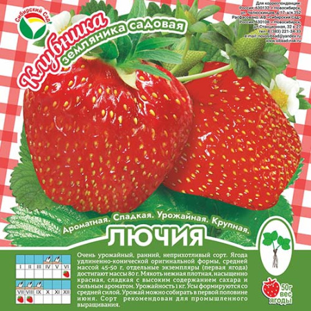Клубника Лючия А 10шт/пучок (Сиб сад)