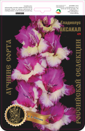Гладиолус Аксакал 477,Маркявичюс Экстра 1шт (Ф)