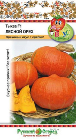 Тыква Лесной Орех ВКУСНЯТИНА 5шт (НК)