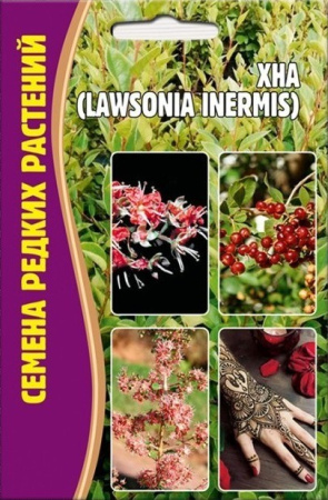 Хна Lawsonia inermis 10шт (Ред.сем)