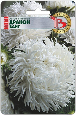 Астра ДРАКОН Селект Вайт однолетник 30шт (Биотехника)