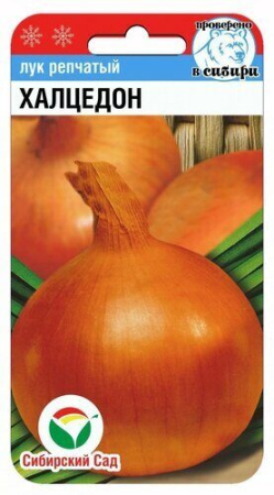 Лук репчатый Халцедон 1г (Сиб сад)