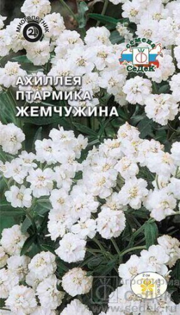 Ахиллея птармика (тысячелистник) Жемчужина многолетник 0,1г (Седек)